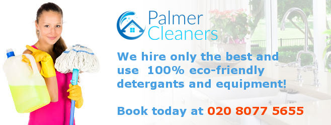 Eco Friendly Cleaning Materials and Cleaning Lady